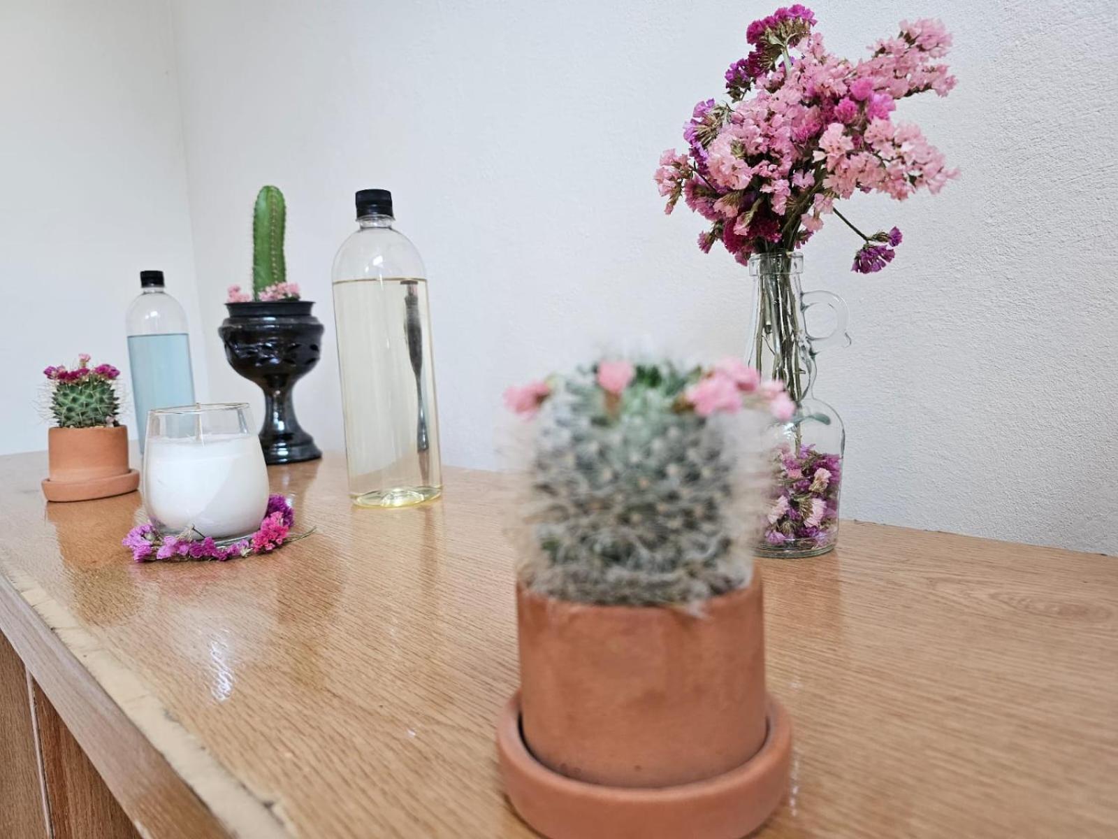 Xolatlaco Tepoztlan Hotel Boutique מראה חיצוני תמונה